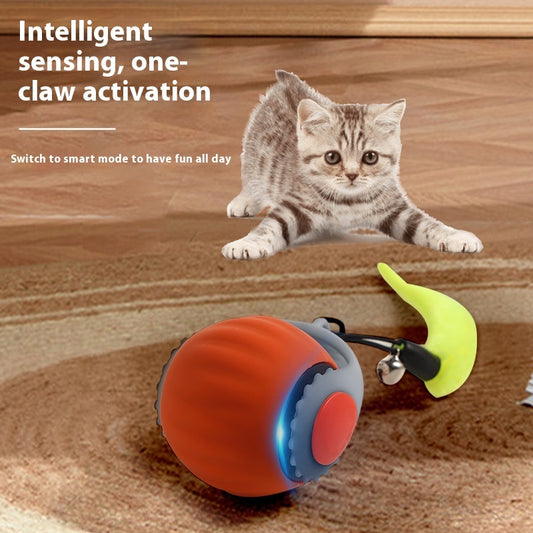 Self-entertainment Rolling Ball