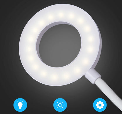 LED Folding Eye Protection Table Lamp