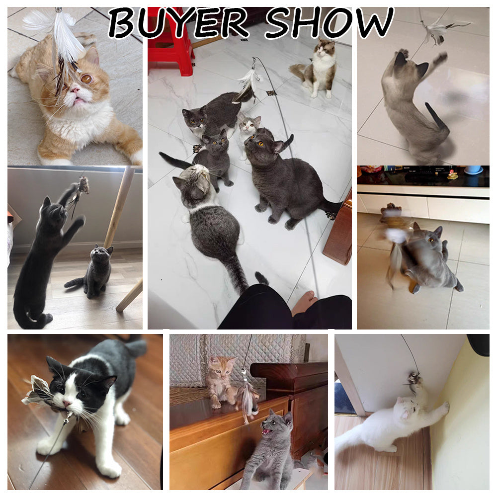Meow Mastery Toy